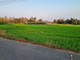  Grundstück zu verkaufen in Mae Rim, Chiang Mai, Huai Sai