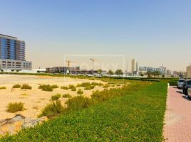  Land for sale at Liwan, Al Reem