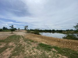  Land for sale in Wang Phong, Pran Buri, Wang Phong