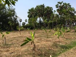  Land for sale in Don Yang, Mueang Phetchaburi, Don Yang