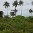 ขายที่ดิน ใน เกาะลันตา กระบี่, เกาะลันตาใหญ่
