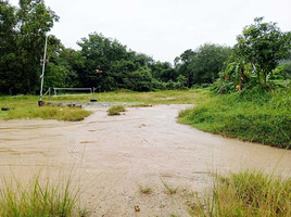 ขายที่ดิน ใน เมืองภูเก็ต ภูเก็ต, ฉลอง, เมืองภูเก็ต