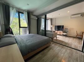 1 Bedroom Apartment for rent at The Deck Patong, Patong, Kathu, Phuket