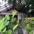 在Passion Nai Harn Bungalows & Guest House 租赁的1 卧室 屋, 拉威, 普吉镇