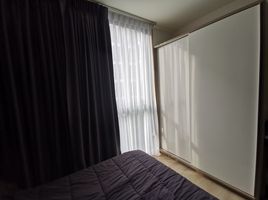 1 Schlafzimmer Appartement zu vermieten im Chambers On-Nut Station, Bang Chak