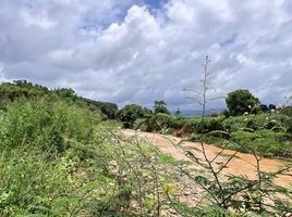  Grundstück zu verkaufen in Bo Rai, Trat, Nong Bon