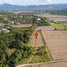  Land for sale in Rong Wua Daeng, San Kamphaeng, Rong Wua Daeng