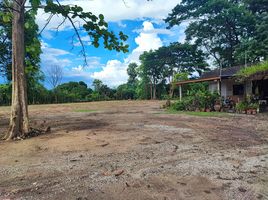  Land for sale in Chomphu, Saraphi, Chomphu