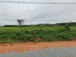  Grundstück zu verkaufen in Ban Rai, Uthai Thani, Ban Bueng