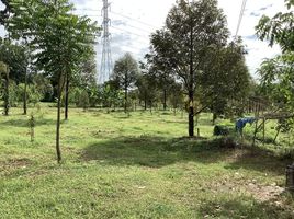  Land for sale in Wang Mai, Na Yai Am, Wang Mai