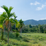  Grundstück zu verkaufen in Nong Thale, Krabi, Nong Thale