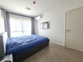 2 Bedroom Condo for rent at Dcondo Rin, Fa Ham, Mueang Chiang Mai, Chiang Mai, Thailand