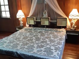 5 Schlafzimmer Haus zu vermieten in Chiang Mai, Yang Noeng, Saraphi, Chiang Mai