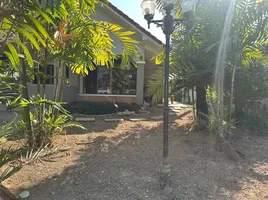 3 Schlafzimmer Haus zu vermieten in Pa Daet, Mueang Chiang Mai, Pa Daet