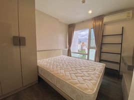 1 Schlafzimmer Appartement zu vermieten im The Crest Sukhumvit 49, Khlong Tan Nuea