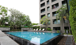 Photo 3 of the Communal Pool at The Seed Musee