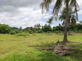  Land for sale in Sam Roi Yot, Sam Roi Yot, Sam Roi Yot