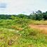  Land for sale in Amazonas, Carauari, Amazonas