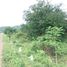  Land for sale in Saraburi, Thap Kwang, Kaeng Khoi, Saraburi