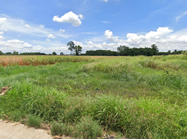  Land for sale in Bueng Phra, Mueang Phitsanulok, Bueng Phra