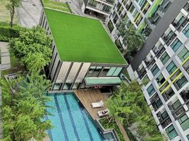 1 Bedroom Condo for rent at Niche Mono Sukhumvit 50, Phra Khanong