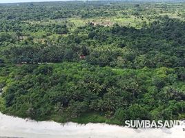  Land for sale in Sumba Barat East Nusa Tenggara, Kodi, Sumba Barat, East Nusa Tenggara, Indonesia