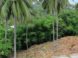  Land for sale in Maenam, Koh Samui, Maenam