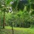  Land for sale in Costa Rica, San Carlos, Alajuela, Costa Rica