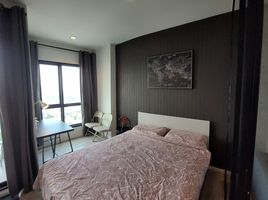 1 Bedroom Apartment for rent at KnightsBridge Sky River Ocean, Pak Nam