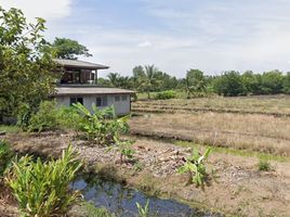  Grundstück zu verkaufen in Nong Suea, Pathum Thani, Bueng Ka Sam, Nong Suea