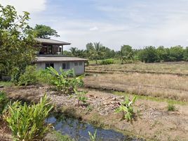  Grundstück zu verkaufen in Nong Suea, Pathum Thani, Bueng Ka Sam