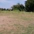  Land for sale in Nakhon Ratchasima, Nong Rawiang, Mueang Nakhon Ratchasima, Nakhon Ratchasima