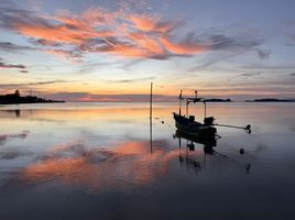  Land for sale in Bo Phut, Surat Thani, Bo Phut