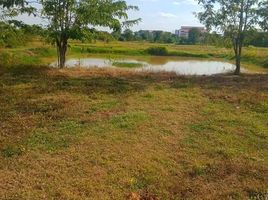  Land for sale in Chaiyaphum, Nai Mueang, Mueang Chaiyaphum, Chaiyaphum