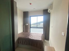 1 Bedroom Condo for rent at Notting Hill Sukhumvit 105, Bang Na, Bang Na, Bangkok, Thailand