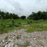  Land for sale in Khlong Hok, Khlong Luang, Khlong Hok