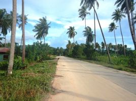  Land for sale in San Vicente, Palawan, San Vicente