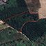  Land for sale in Khok Kloi, Phangnga, Khok Kloi, Takua Thung, Phangnga