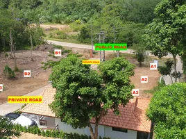  Land for sale at Lanta Sunrise Hill , Sala Dan, Ko Lanta, Krabi