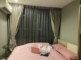 1 Schlafzimmer Appartement zu vermieten im Artemis Sukhumvit 77, Suan Luang