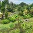  Land for sale in Bang Chueak Nang, Taling Chan, Bang Chueak Nang