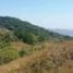  Land for sale in Tonosi, Los Santos, Cambutal, Tonosi