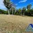  Grundstück zu verkaufen in San Felipe De Puerto Plata, Puerto Plata, San Felipe De Puerto Plata, Puerto Plata, Dominikanische Republik