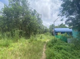  Land for sale in Si Sunthon, Thalang, Si Sunthon