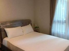 2 спален Кондо в аренду в Mirage Sukhumvit 27, Khlong Toei