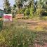  Land for sale in Khuan Khan, Mueang Satun, Khuan Khan