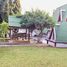 3 Bedroom Villa for sale in Ginger Farm Chiang Mai, Tha Wang Tan, Tha Wang Tan