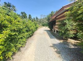 10 Schlafzimmer Villa zu verkaufen in Bang Saphan, Prachuap Khiri Khan, Phong Prasat