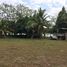  Land for sale in Alajuela, San Carlos, Alajuela