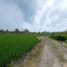  Grundstück zu verkaufen in Badung, Bali, Canggu, Badung, Bali